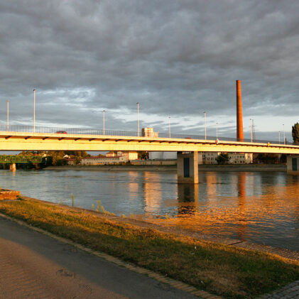 Baranja i Slavonija, 2009. 9.performans OS